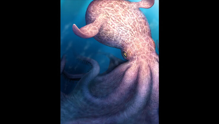 Geç Kretase Denizlerinde Zeka ve Hızın Yeni Oyunu: Nanai Monelerinin Derinlikleri