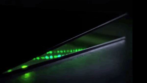 Nvidia ilginç bir ürünün videosunu paylaştı