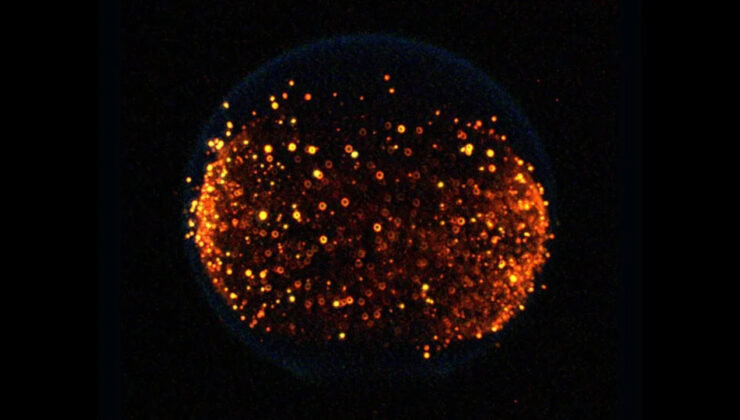 Şimdi de Ay’a “yangın çıkartmak” için gidiyoruz