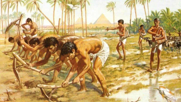 Tarımın başlamasıyla insan evrimi hızlandı: Antik DNA araştırması neler söylüyor?