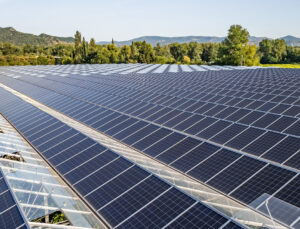 Toprağın dijital zırhı: Çin’in algoritmaları dünyayı doyurabilir mi?