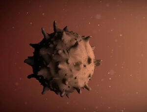 Türkiye’de koronavirüse karşı aşı çalışması başlatıldı!