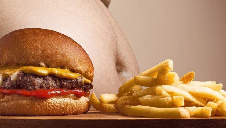 Yağlı yiyeceklerin depresyonu nasıl tetiklediği bulundu