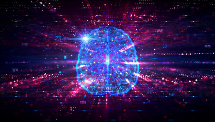 Yaşayan Nöronlarla Bilgi İşlemi: Silikon Çiplere Alternatif Bir Gelecek