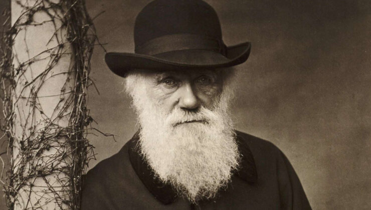 Charles Darwin’in tüm yazışmaları artık çevrimiçi