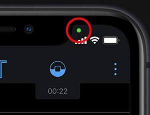 Herkesin telefonunda var! İşte o yeşil noktanın anlamı