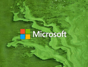 Microsoft’un kurtarıcısı yosunlar: Şirket yosunlarla ortak çalışacak!