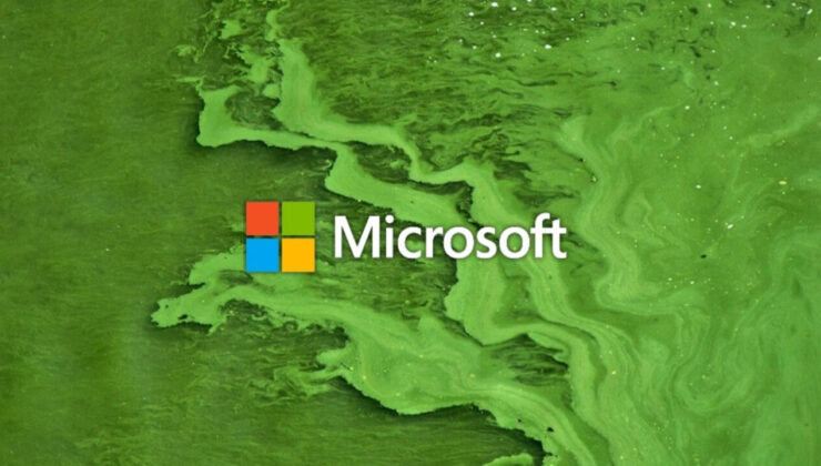 Microsoft’un kurtarıcısı yosunlar: Şirket yosunlarla ortak çalışacak!