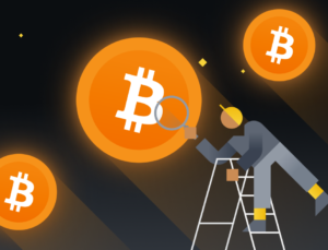 Tek bir yazılımla 500 bin dolarlık Bitcoin çaldılar