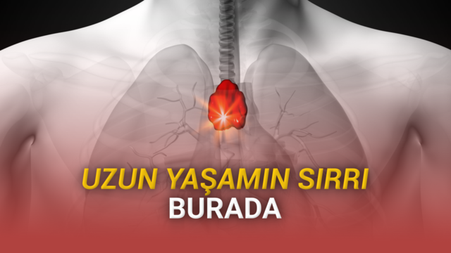 Varlığı Çok da Önemsenmeyen Bir Oranın, Uzun Ömürlü Olmasının Sırrı Olabileceği Bulundu