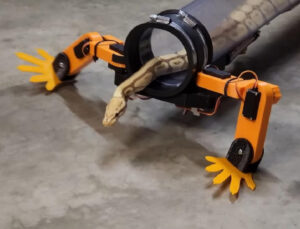 Yılanların yürüyebilmesi için robot bacaklar icat edildi! Peki neden?
